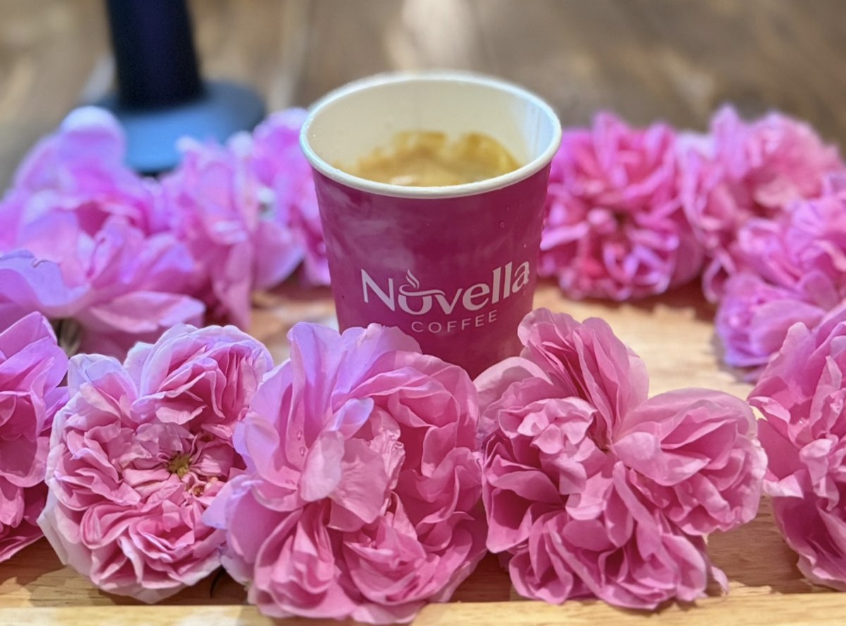 حبوب قهوة عضوية